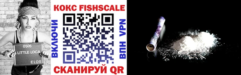 Кокаин Fish Scale  Вытегра 