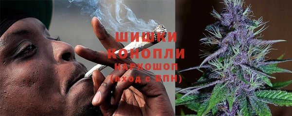 apvp Верея