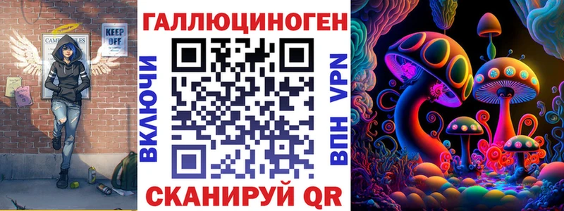 Псилоцибиновые грибы Psilocybe  Вытегра 