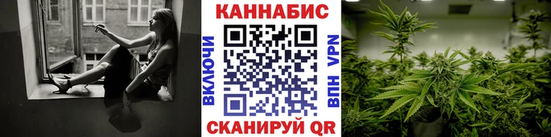 Каннабис сатива  Вытегра 
